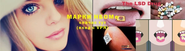 ALPHA PVP Аркадак